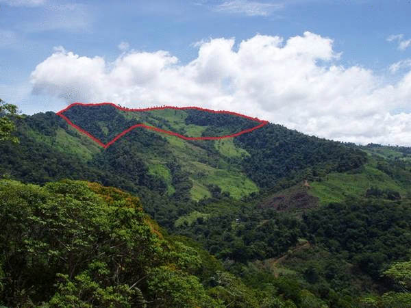 Costa Rica Real Estate